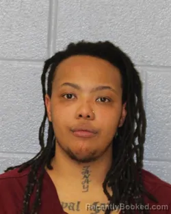 Mugshot of GABRIELLE PLEASANT