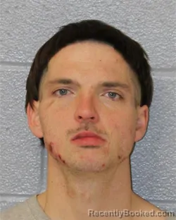 Mugshot of WHITNEY DYLAN WOLFE