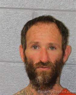 Mugshot of GERALD STOUT