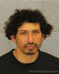 Mugshot of EUDIS RODRIGUEZ PICHARDO