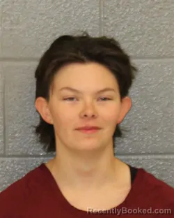 Mugshot of LAUREN MAKAYLA TYSON