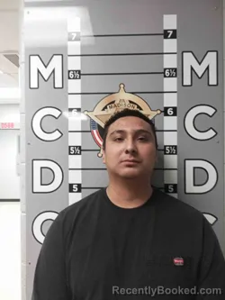 Mugshot of BRANDON NESS