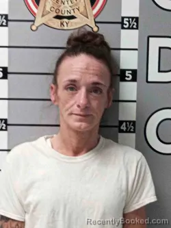 Mugshot of BRANDY MULLINS
