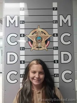 Mugshot of HEIDI JENKINS