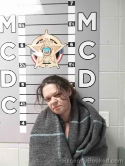 Mugshot of ROBIN NORTHERN