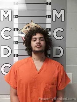 Mugshot of DEMETRIUS FARRIS