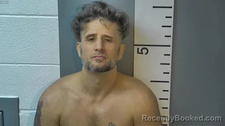 Mugshot of DAVID MITCHELL LUCAS