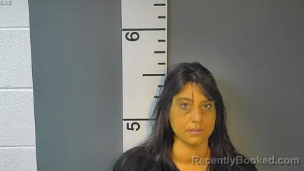 Mugshot of JESSICA LYNN HARMAN