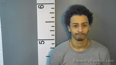 Booking photo from Nelson County, Kentucky