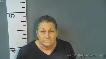 Mugshot of LORI WILLIAMS LEWIS