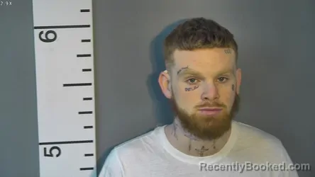 Booking photo from Nelson County, Kentucky