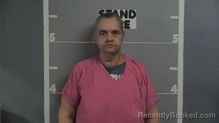 Mugshot of DONNA MARIE LINDSEY