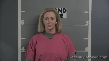 Mugshot of DAVLINA RAMSEY