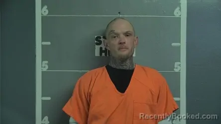 Mugshot of JIMMY D NETHERTON