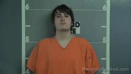 Mugshot of LOGAN A SAILING