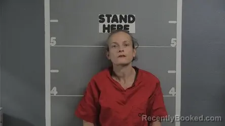 Mugshot of TINA BRADFIELD