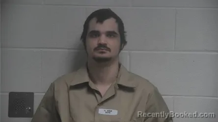 Mugshot of HUSSEIN ALASOUM