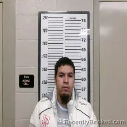 Mugshot of JOSE FLORES