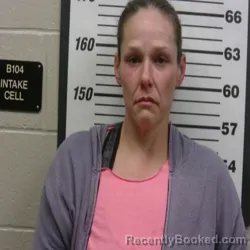 Mugshot of MARIE ISABELLA BARROS