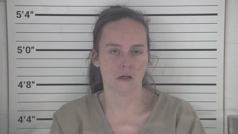 Mugshot of BRANDY SUE TIMERDING