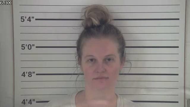 Mugshot of DONNA MICHELLE DELANEY