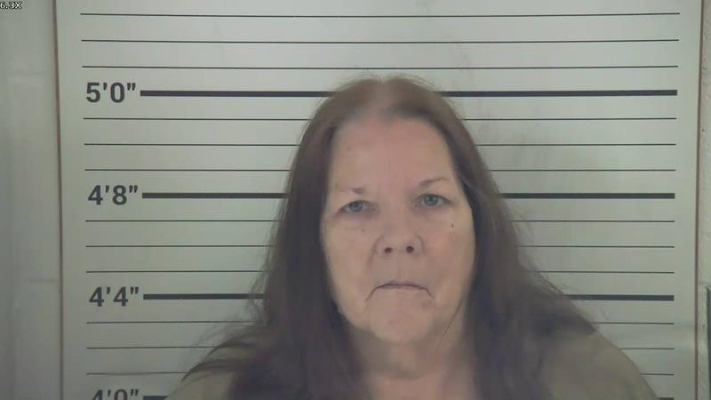 Mugshot of DIANE FAYE GRUBB