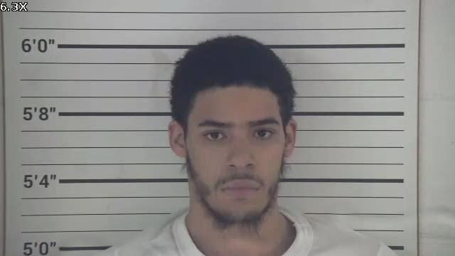 Mugshot of DARYNEL LEAMONT TERRELL