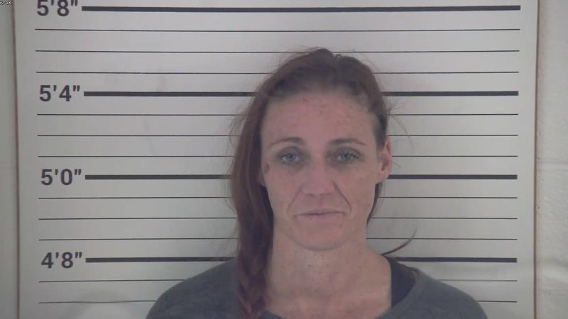 Mugshot of JESSICA ERIN WHITE
