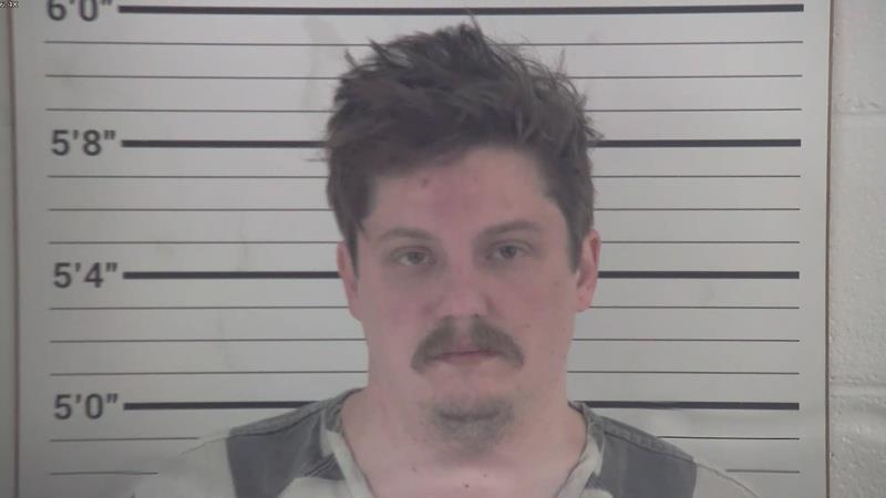 Mugshot of LOGAN MICHAEL FOX