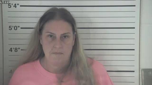 Mugshot of MELISSA GAIL PURVIS
