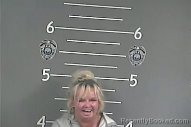 Mugshot of LISA C HATFIELD