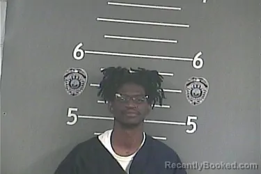 Mugshot of TIMOTHY ALLEN DAVIS