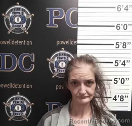 Mugshot of ALESHIA WELLS