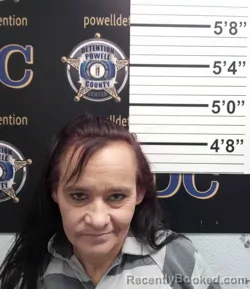 Mugshot of LANA MEADOWS