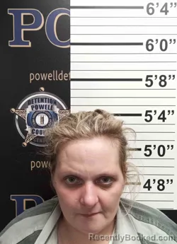 Mugshot of CAMILLYA HOPKINS