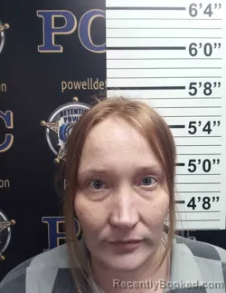 Mugshot of MEGAN SWEENEY