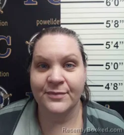 Mugshot of BETH MARSEE