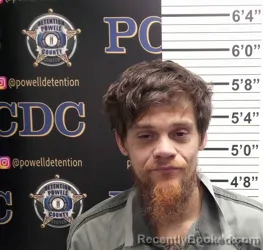 Mugshot of BRAD INGRAM