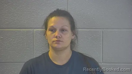 Mugshot of ALISSA LYNN DAVIDSON