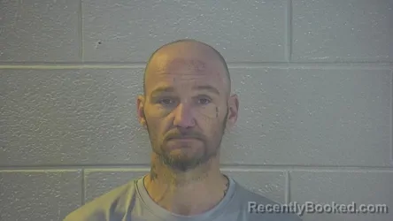 Mugshot of DILLARD C NORMAN