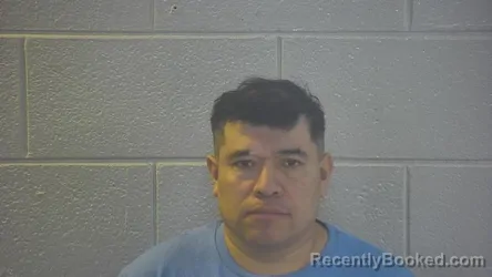 Mugshot of GILVER MORALES-VELASQUEZ