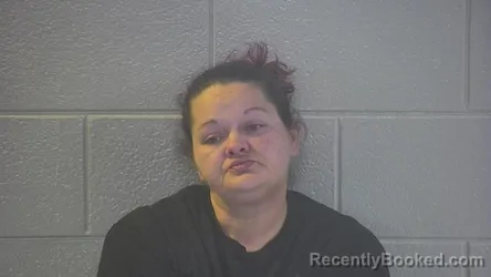 Mugshot of JULIE ANN THOMAS
