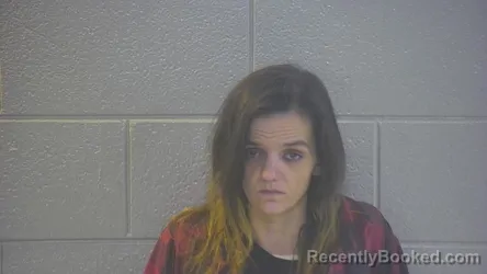 Mugshot of TAYLOR NICOLE HOBBS