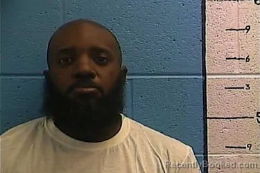 Mugshot of ROBERT LEE