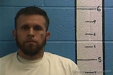 Mugshot of ROBERT L LEAR