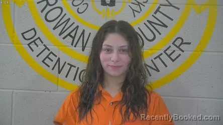 Mugshot of NEVAEH ANN VILLARREAL