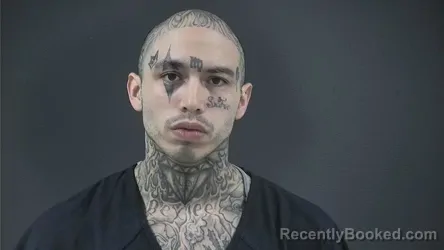 Mugshot of BRIAN T STEPHENS