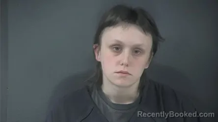 Mugshot of PEYTON ALLEY