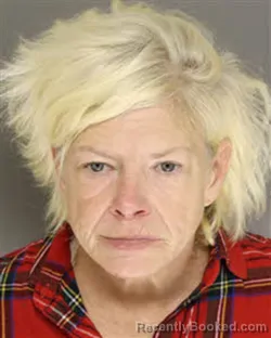 Mugshot of ROBIN DENISE SAUNDERS
