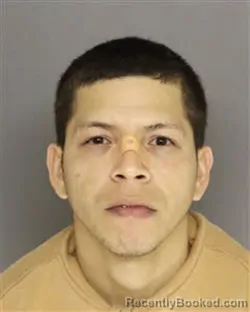 Mugshot of JOSE DAVID MUJICAO GIMENEZ